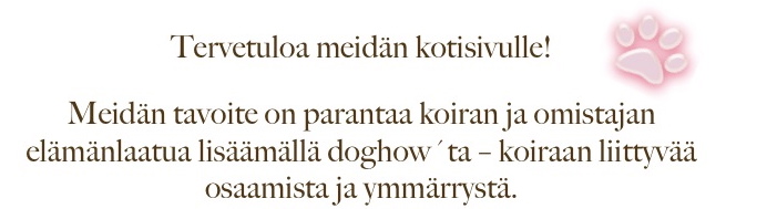 Koirakoulu DogHow Helsinki
